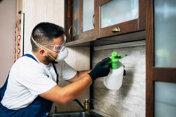 Best Residential Pest Control  in Lakeland North, WA