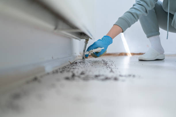 Professional Pest Control in Lakeland North, WA