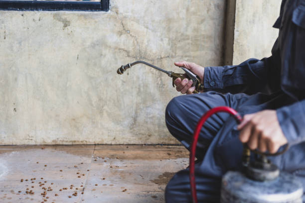 Best Affordable Pest Control Services  in Lakeland North, WA