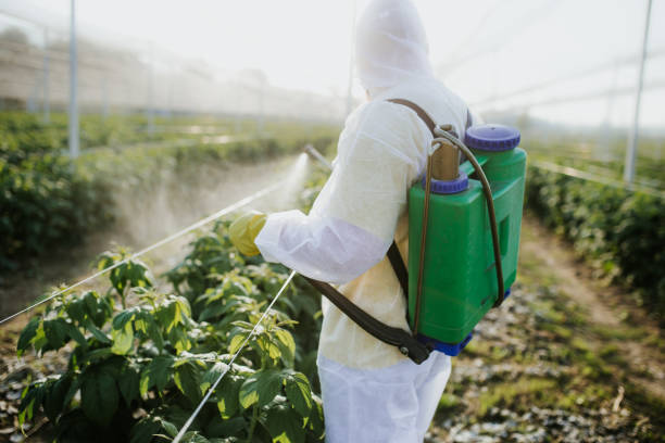 Best Pest Control Near Me  in Lakeland North, WA